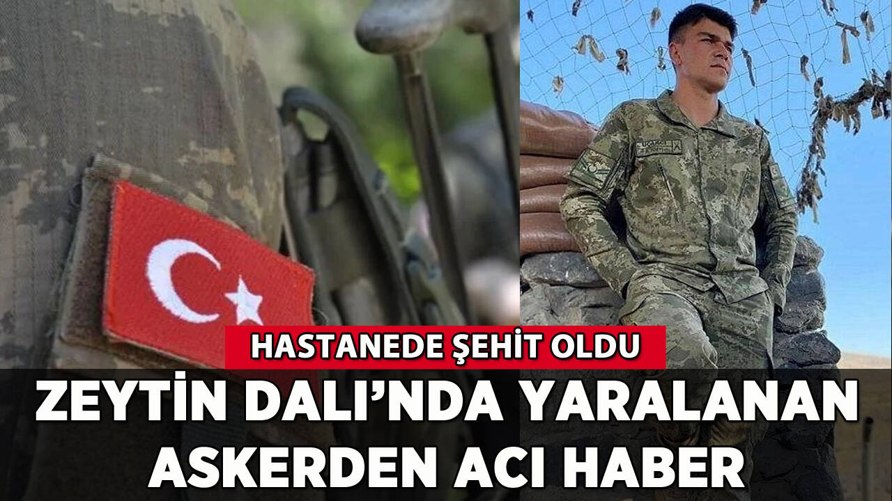 Zeytin Dalı'nda yaralanan askerden acı haber: Hastanede şehit oldu