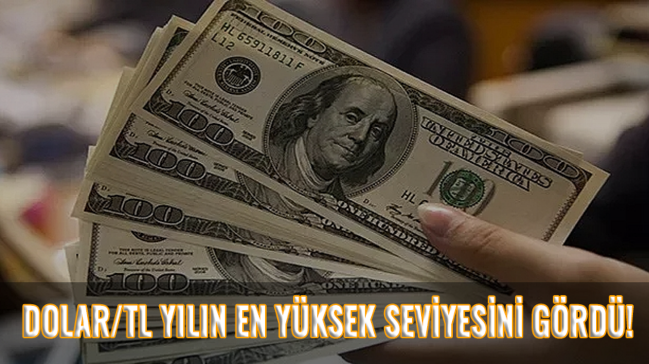 Dolar/TL yılın en yüksek seviyesini gördü!