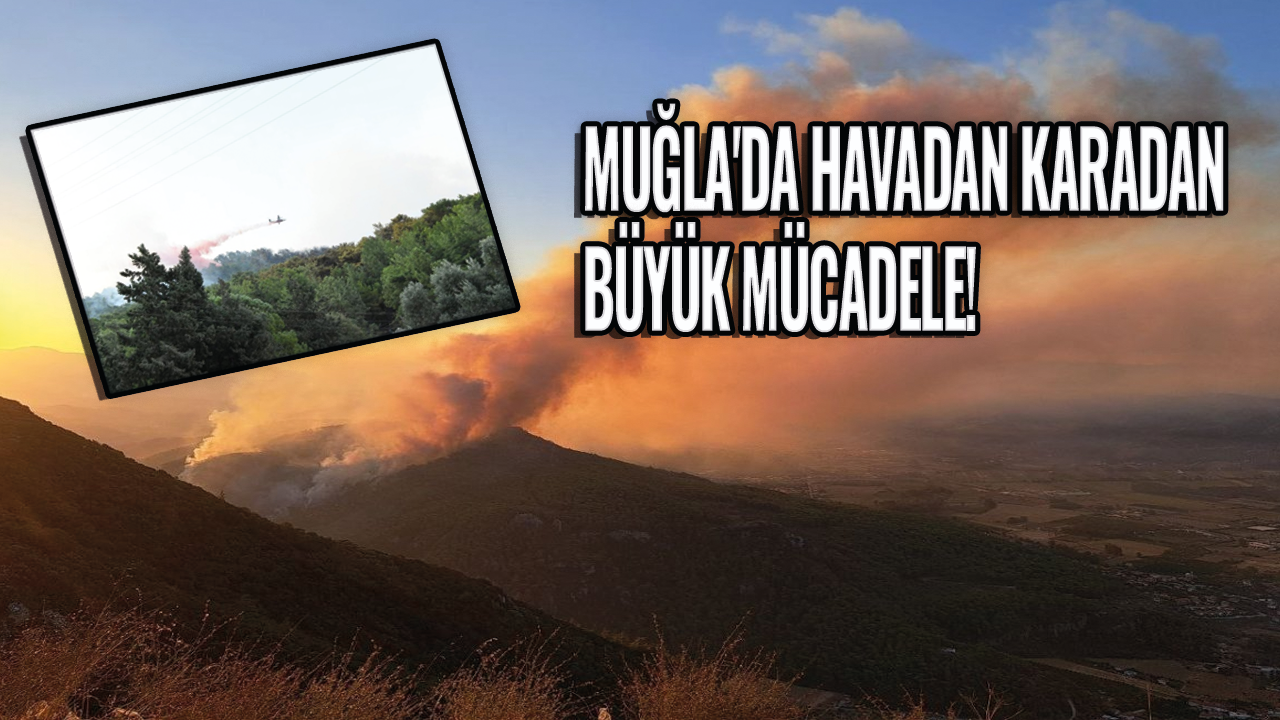 Muğla'da havadan karadan büyük mücadele!