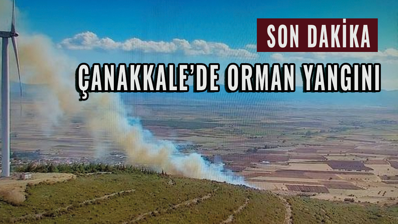 Son dakika... Çanakkale'de orman yangını