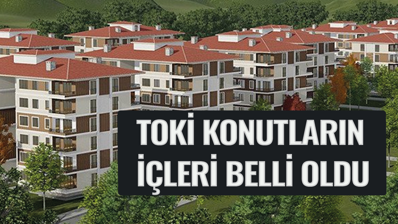 Sosyal Konut Projesi kapsamında yapılacak konutların içleri belli oldu