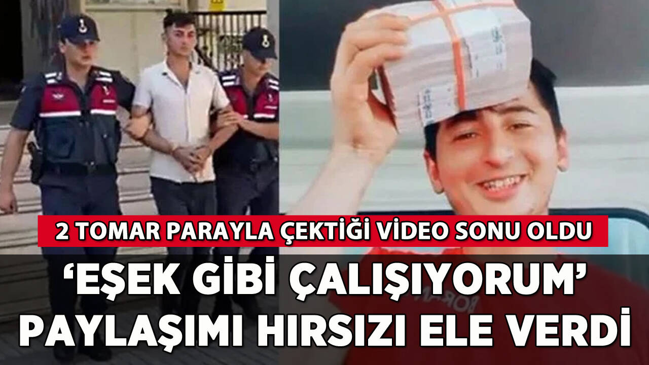 'Eşek gibi çalışıyorum' paylaşımı hırsızı ele verdi