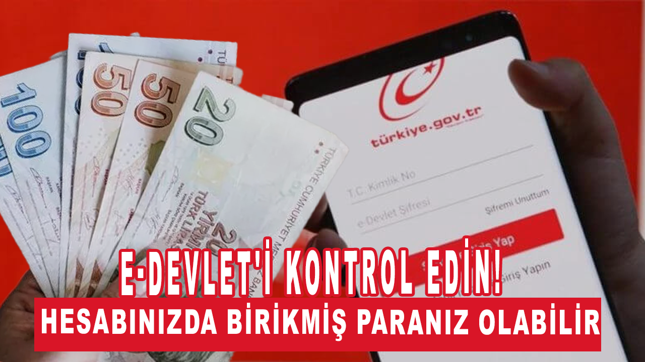 e-Devlet'i kontrol edin: Hesabınızda birikmiş paranız olabilir