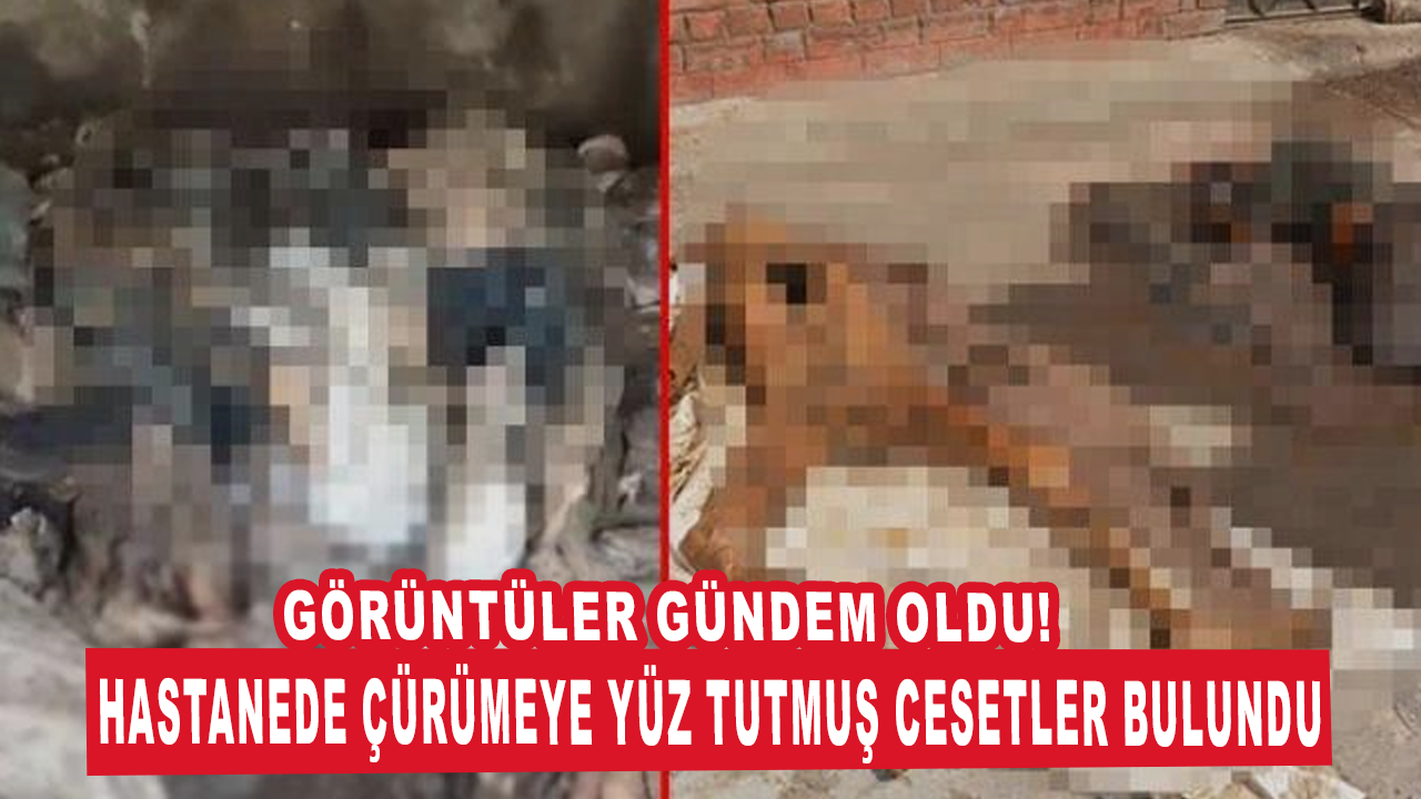 Hastane çatısında çürümeye yüz tutmuş cesetler bulundu