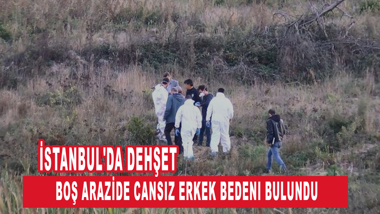 İstanbul'da dehşet: Cansız erkek bedeni bulundu