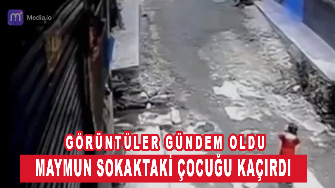 Maymunun sokaktaki çocuğu kaçırdığı görüntüler gündem oldu