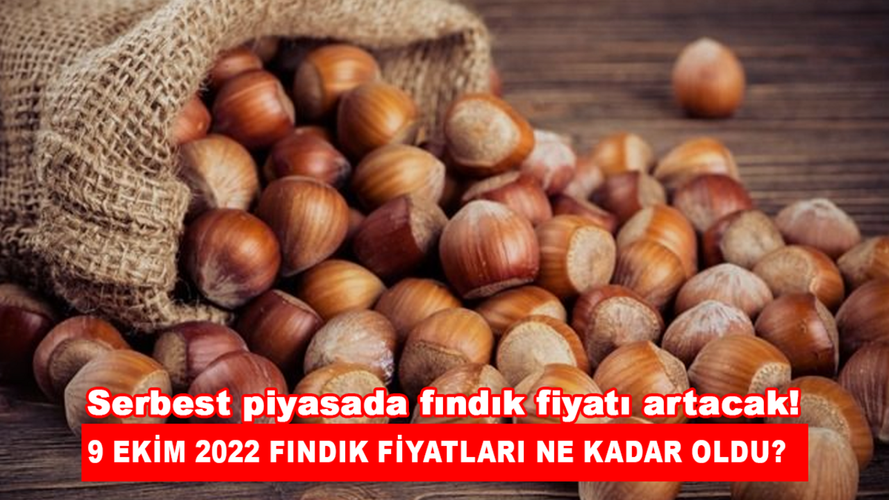 Serbest piyasada fındık fiyatı artacak! 9 Ekim 2022 fındık fiyatları ne kadar oldu?