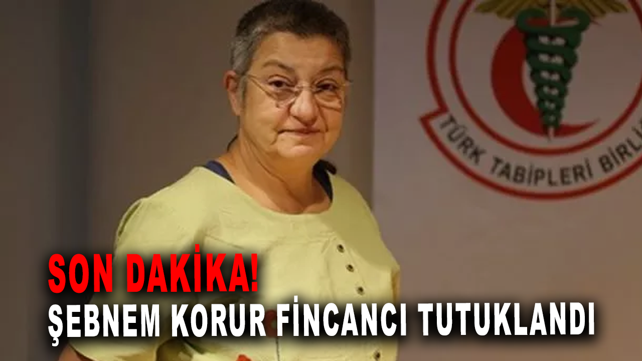 Son Dakika! Türk Tabipleri Birliği Başkanı Şebnem Korur Fincancı tutuklandı