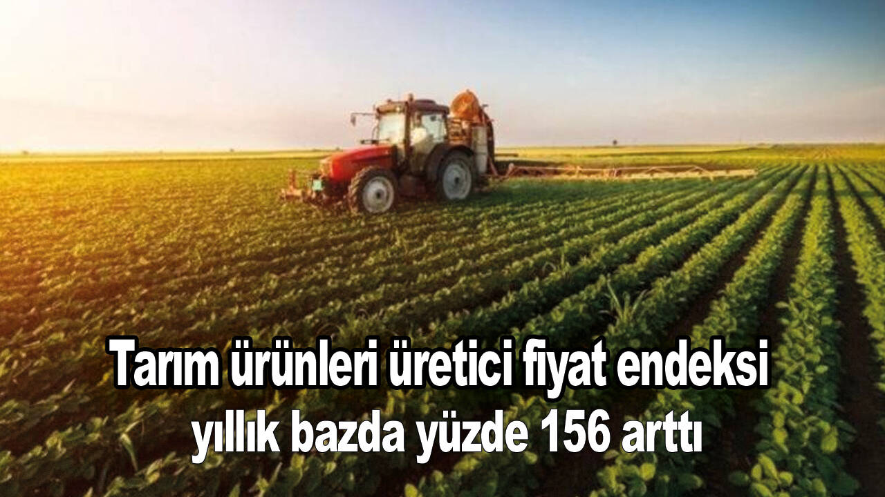 Tarım ürünleri üretici fiyat endeksi yıllık bazda yüzde 156 arttı