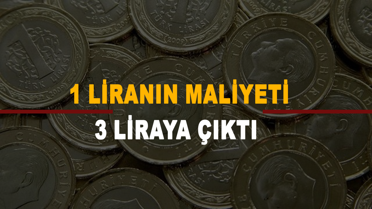 1 liranın maliyeti 3 liraya çıktı