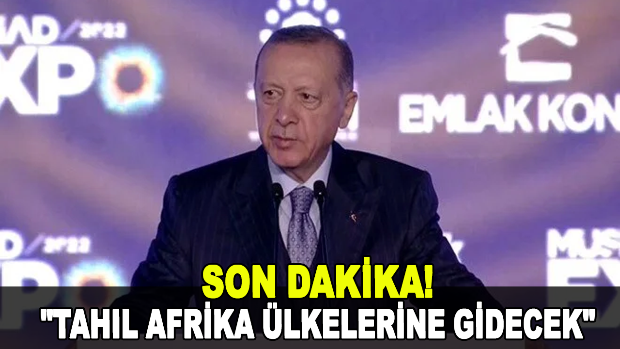 Cumhurbaşkanı Erdoğan'dan tahıl koridoru açıklaması