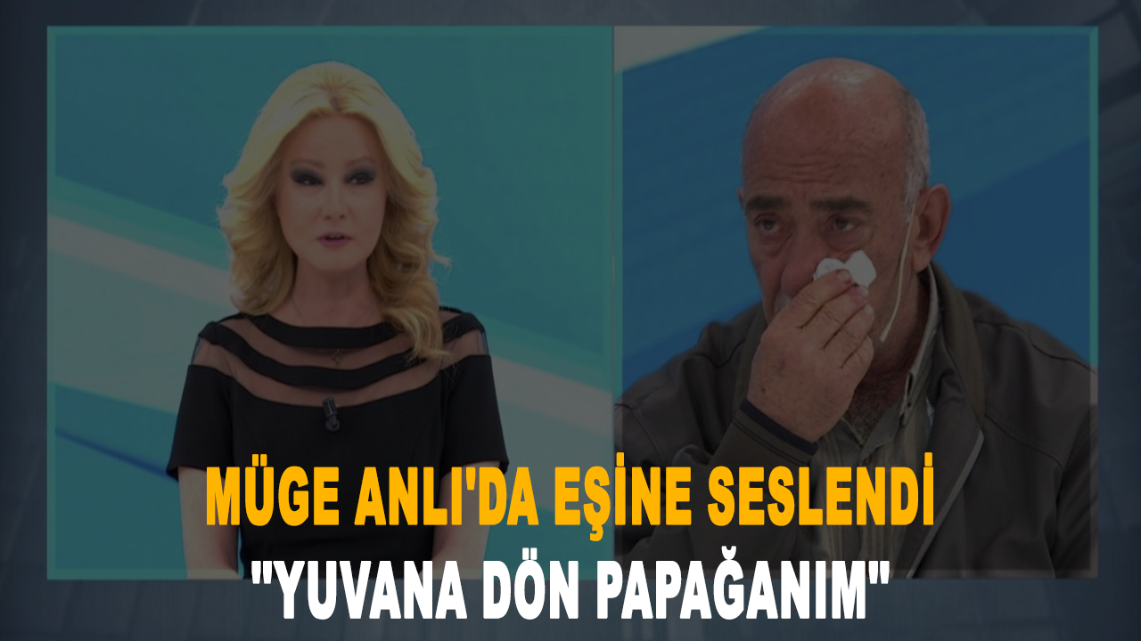 Müge Anlı'da eşine böyle seslendi: Yuvana dön papağanım