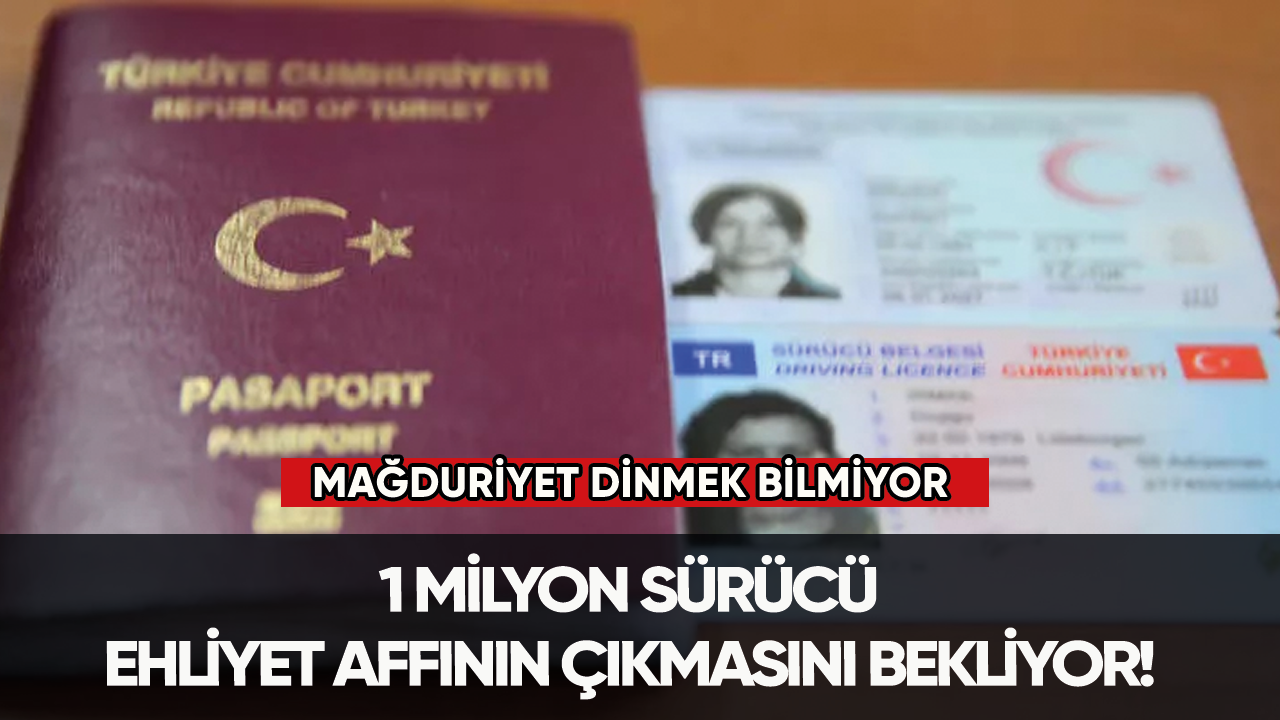 1 milyon sürücü ehliyet affının çıkmasını bekliyor!