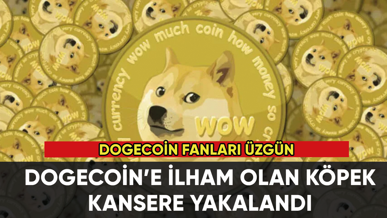 Dogecoin’e ilham olan köpekten üzücü haber:Kansere yakalandı