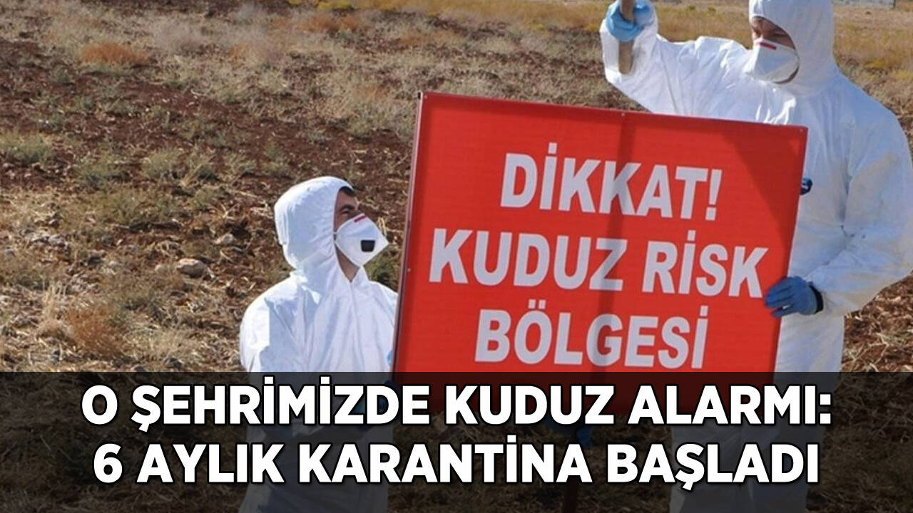 Bir kentte kuduz alarmı! 6 aylık karantina başladı