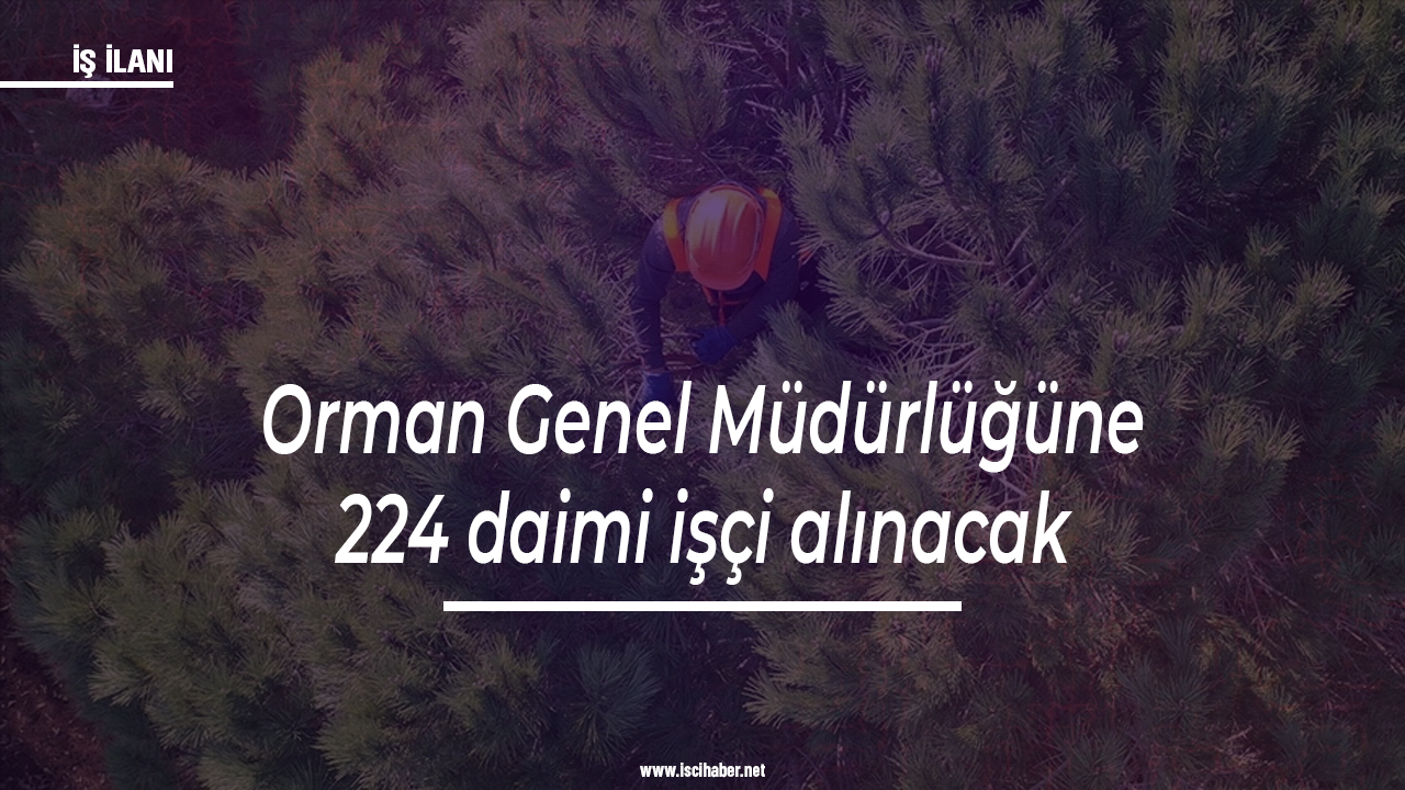 Orman Genel Müdürlüğüne 224 daimi işçi alınacak