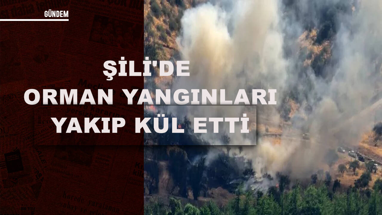 Şili'de orman yangınları artıyor