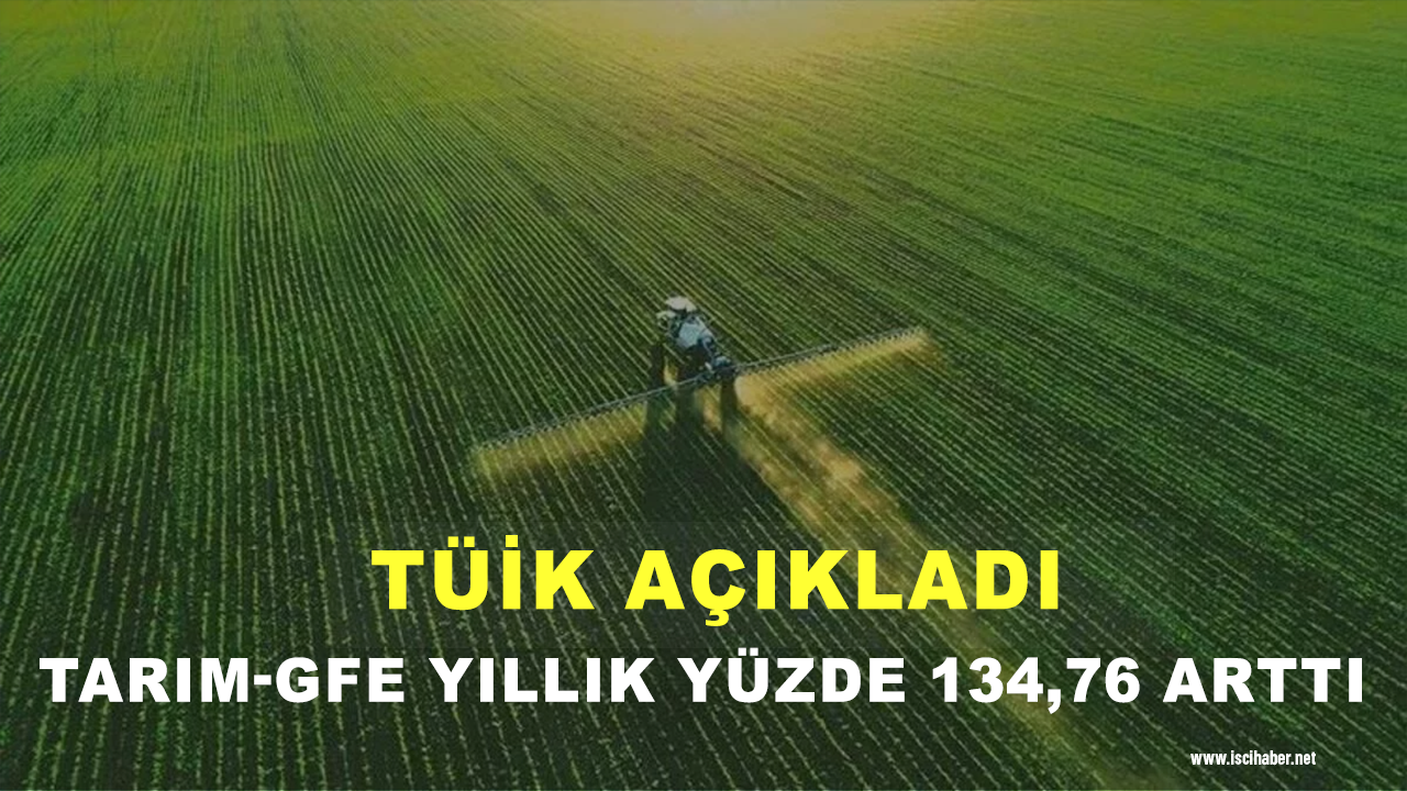 TÜİK: Tarım-GFE yıllık yüzde 134,76 arttı