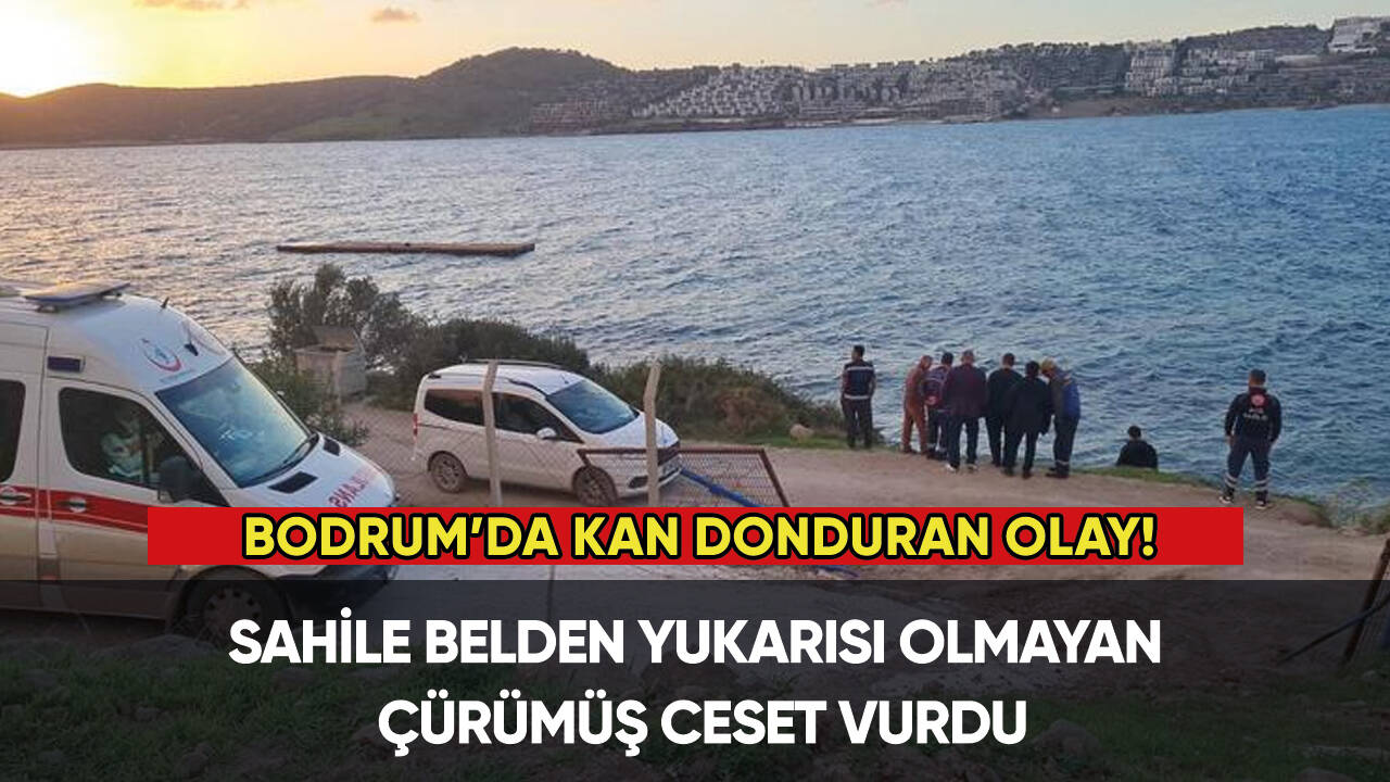 Bodrum'da belden yukarısı olmayan ceset bulundu!