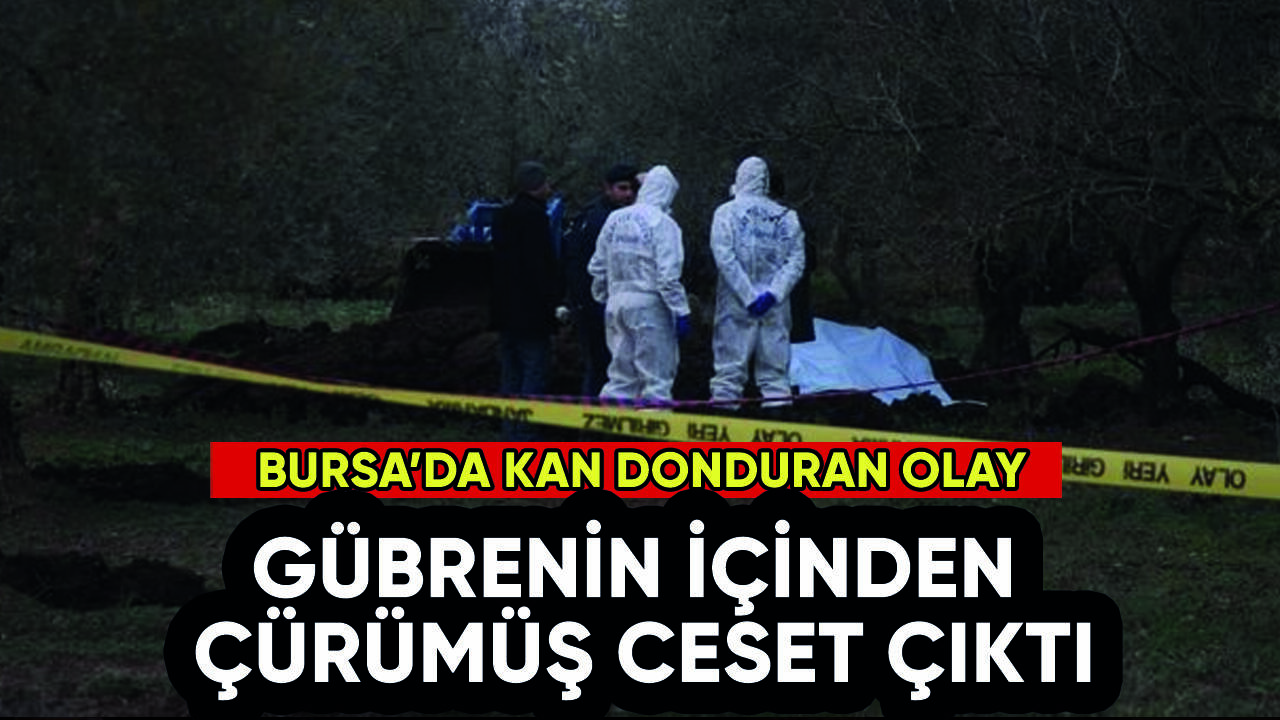 Bursa'da gübrenin içinden ceset çıktı