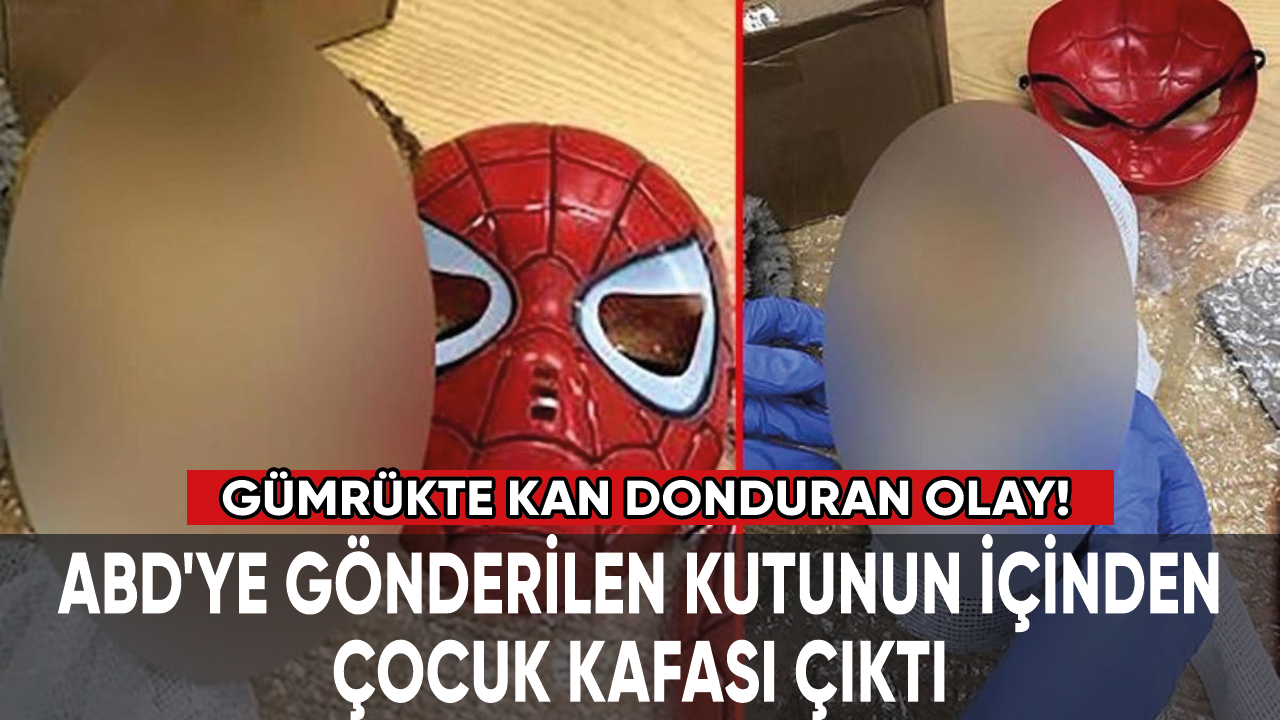 Gümrükte dehşete düşüren olay! Kutunun içinden çocuk kafası çıktı