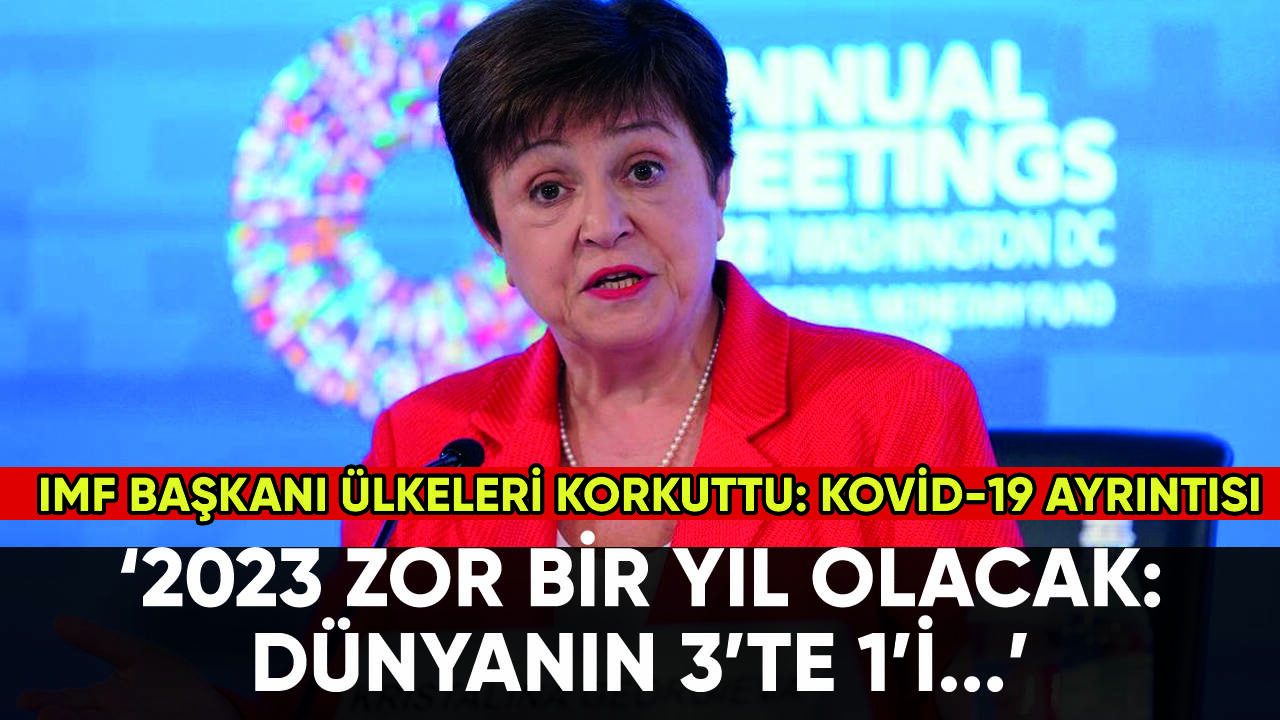 IMF Başkanı ülkeleri korkuttu: 'Dünyanın 3'te 1'i...'