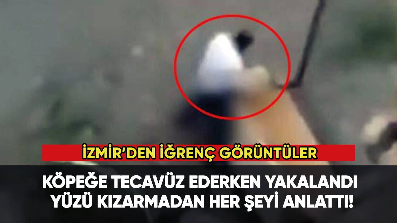 Köpeğe tecavüz ederken yakalandı, yüzü kızarmadan her şeyi anlattı!