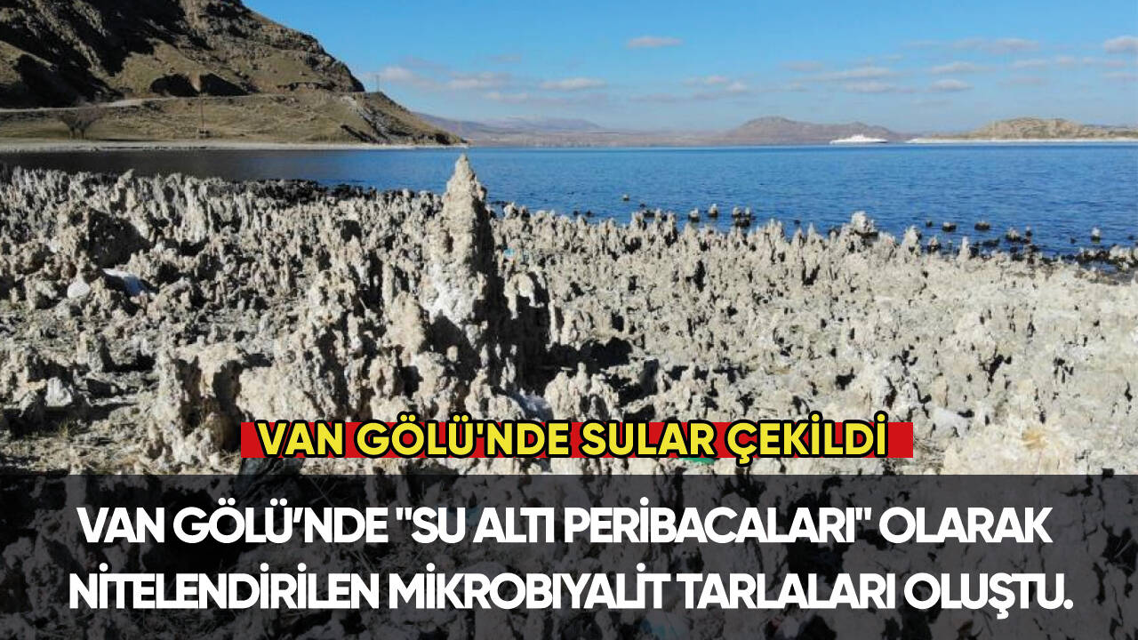 Van Gölü'nden su altı peribacaları çıktı