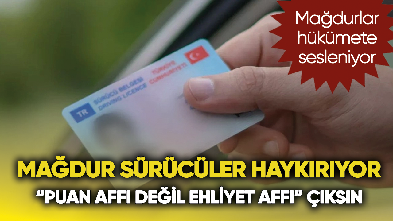 Bir defaya mahsus ehliyet affı istiyorlar