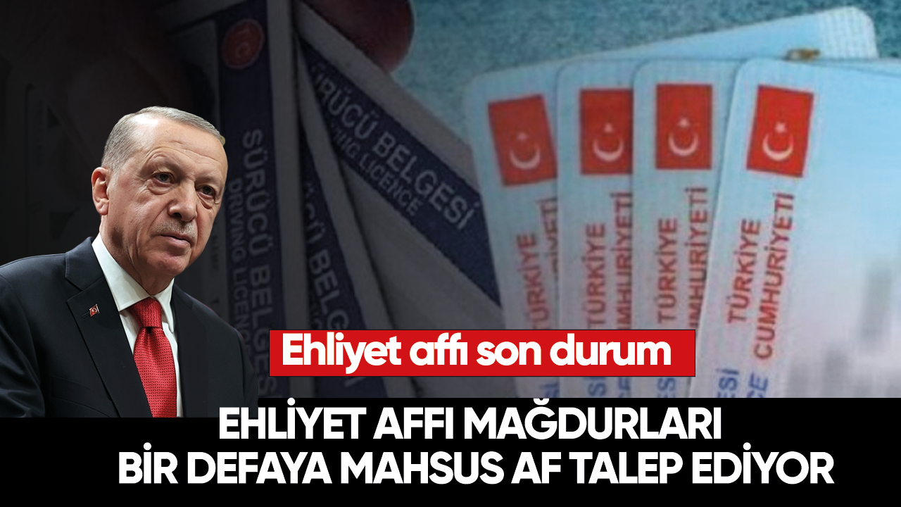 Ehliyet affı mağdurları bir defaya mahsus af talep ediyor