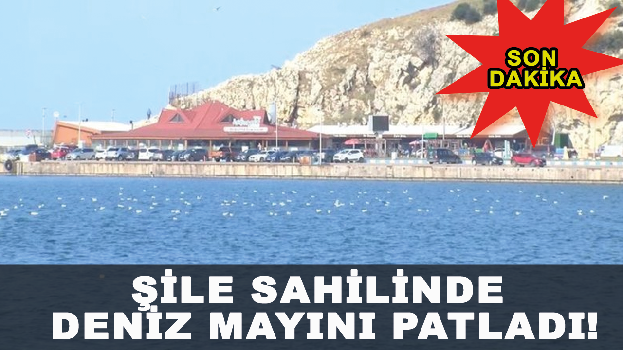 Son dakika... Şile sahilinde deniz mayını patladı!