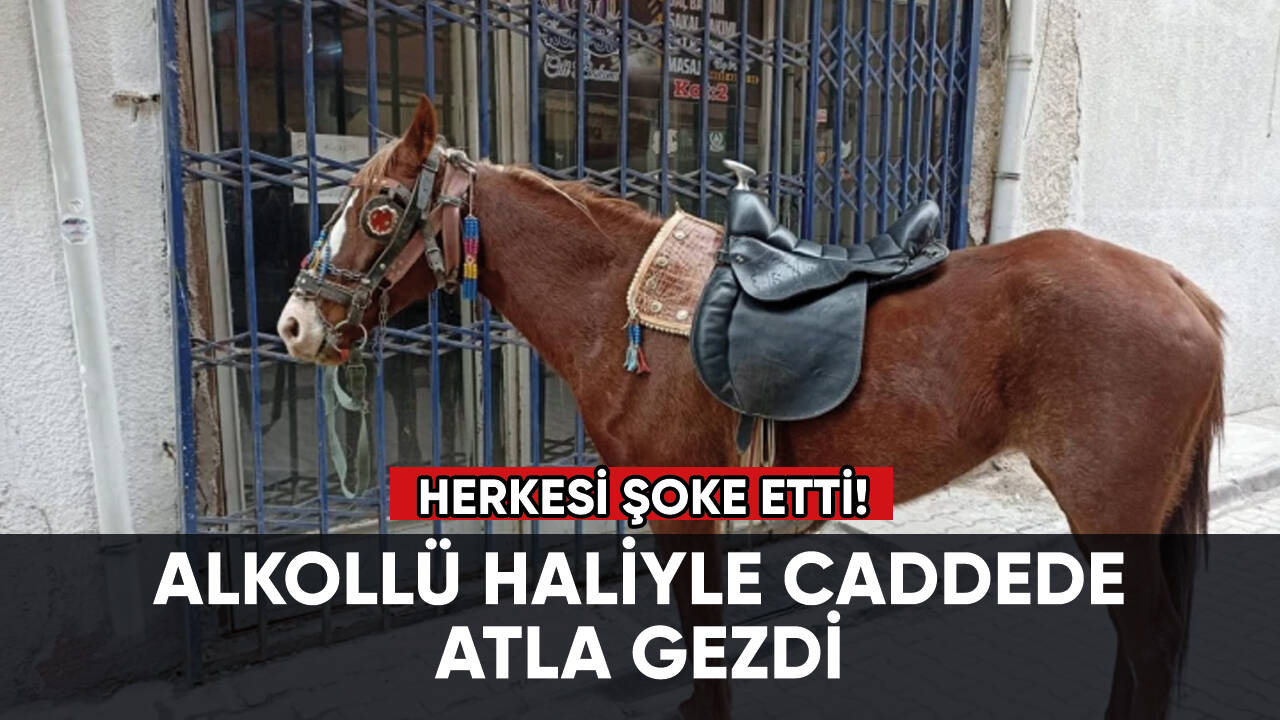 Alkollü haliyle caddede atla gezen adama ceza!