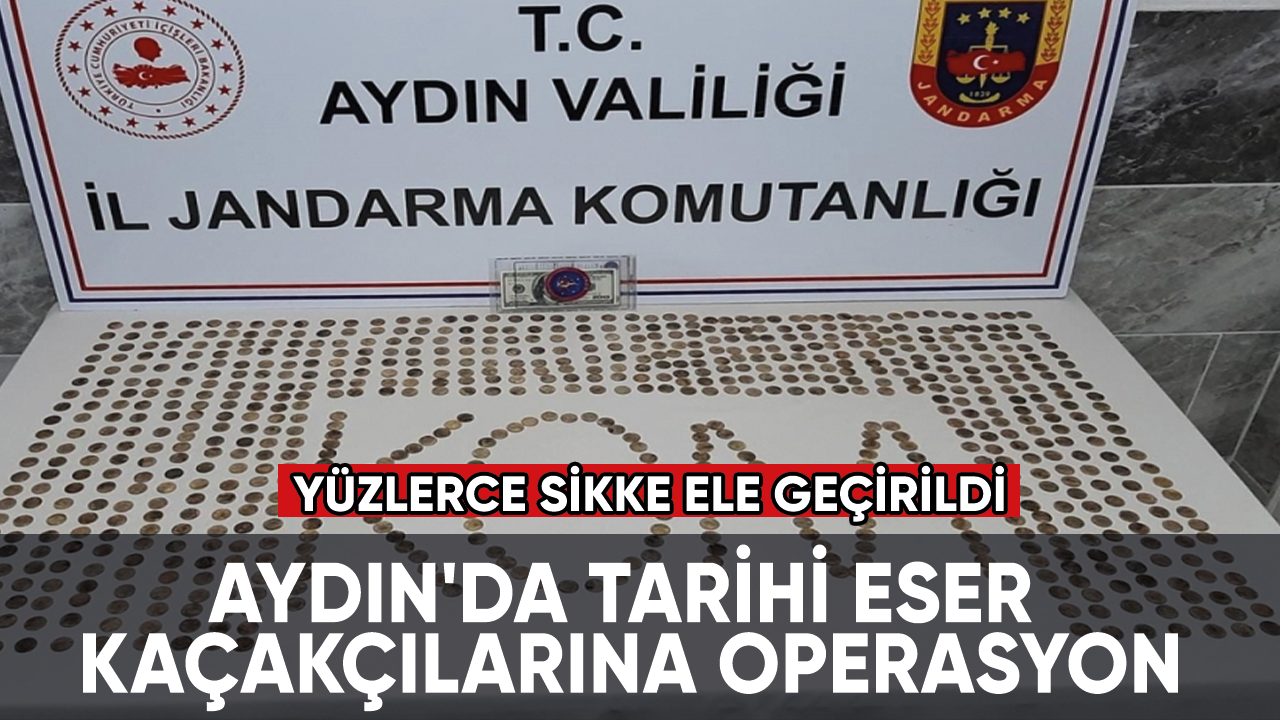 Aydın'da tarihi eser kaçakçılarına operasyon