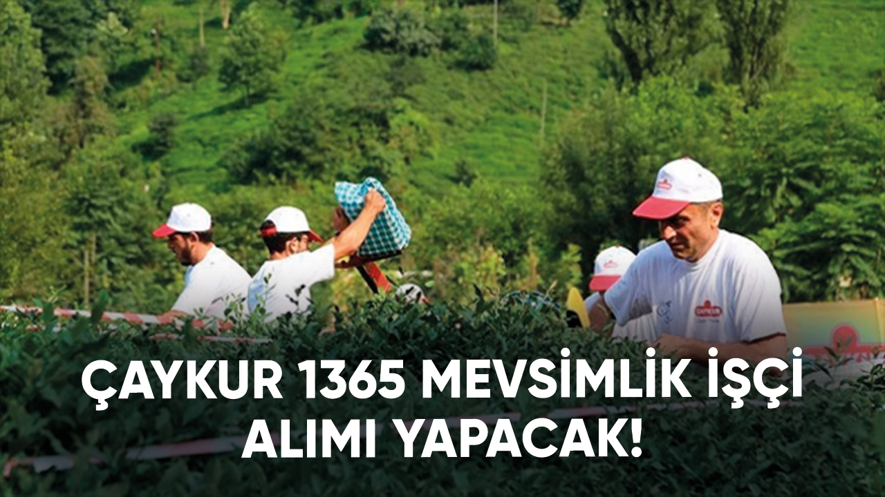 ÇAYKUR 1365 mevsimlik işçi alımı yapacak!