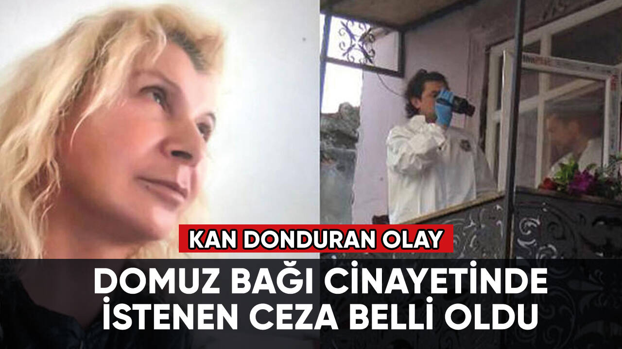 Domuz bağı yöntemiyle öldürülen kadın cinayetinde istenen ceza belli oldu