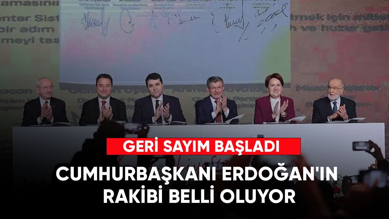 Geri sayım başladı.... Cumhurbaşkanı Erdoğan'ın rakibi belli oluyor