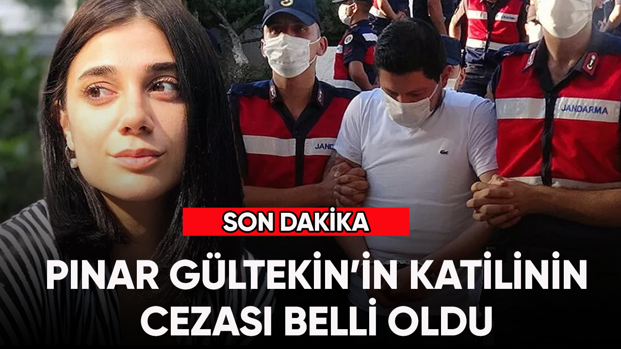 Pınar Gültekin'in katilinin cezası belli oldu!