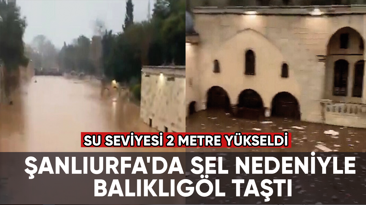 Şanlıurfa'da sel nedeniyle Balıklıgöl taştı