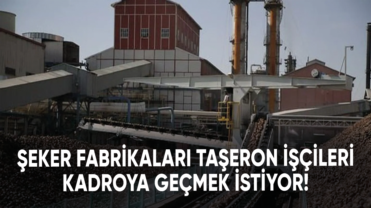 Şeker fabrikaları taşeron işçileri kadroya geçmek istiyor!