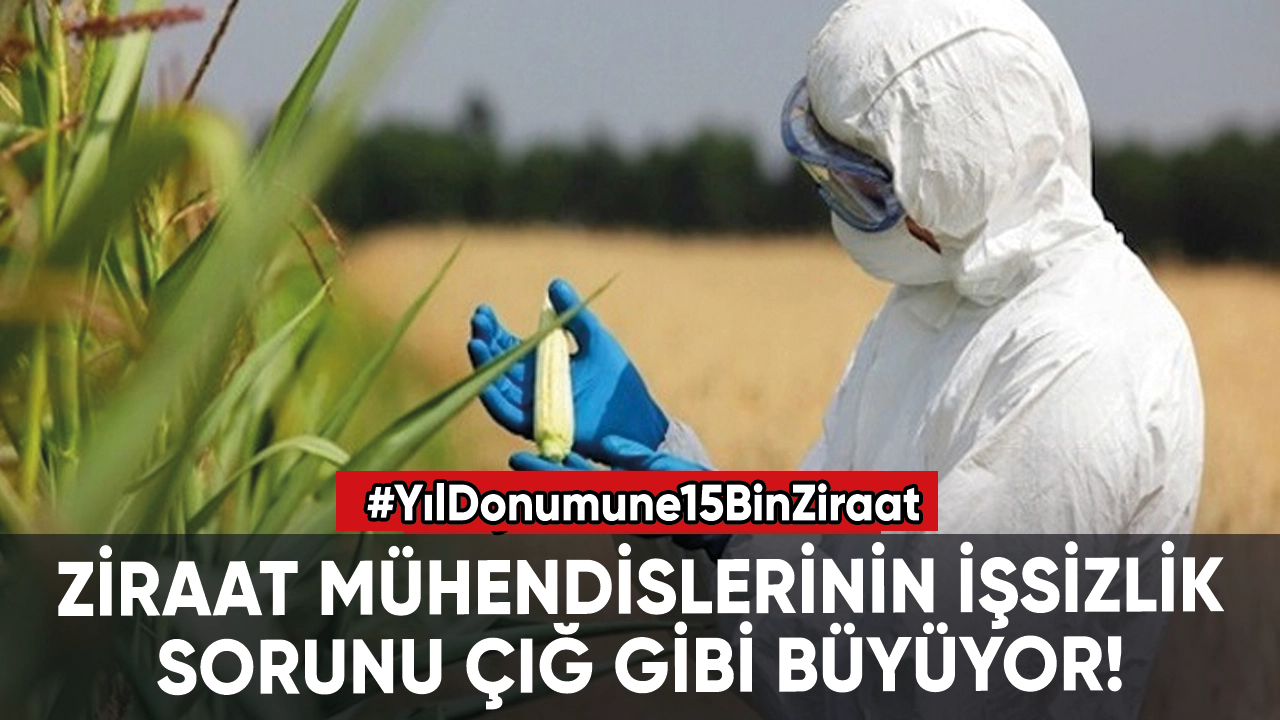 Ziraat mühendislerinin işsizlik sorunu çığ gibi büyüyor!