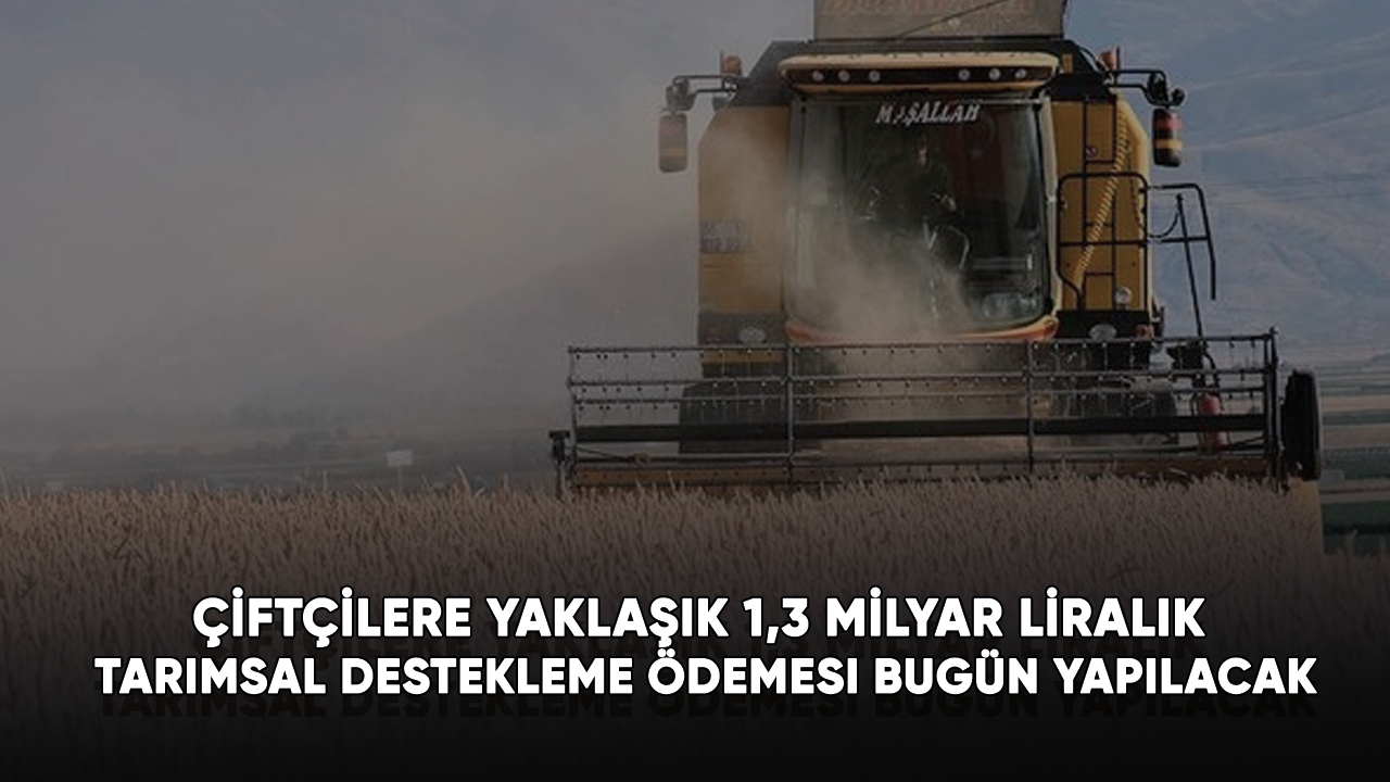 Çiftçilere yaklaşık 1,3 milyar liralık tarımsal destekleme ödemesi bugün yapılacak