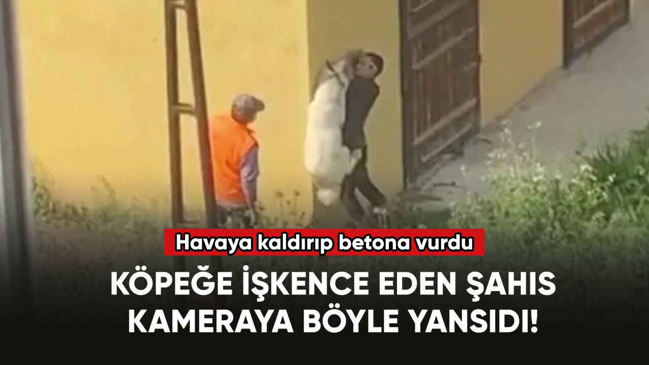 Köpeğe yapılan işkence saniye saniye kaydedildi