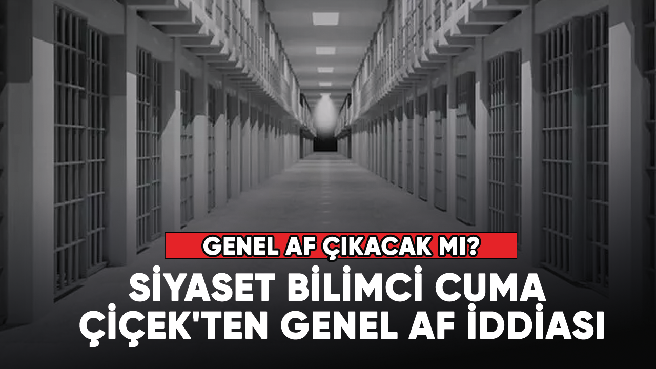 Siyaset bilimci Cuma Çiçek'ten genel af iddiası