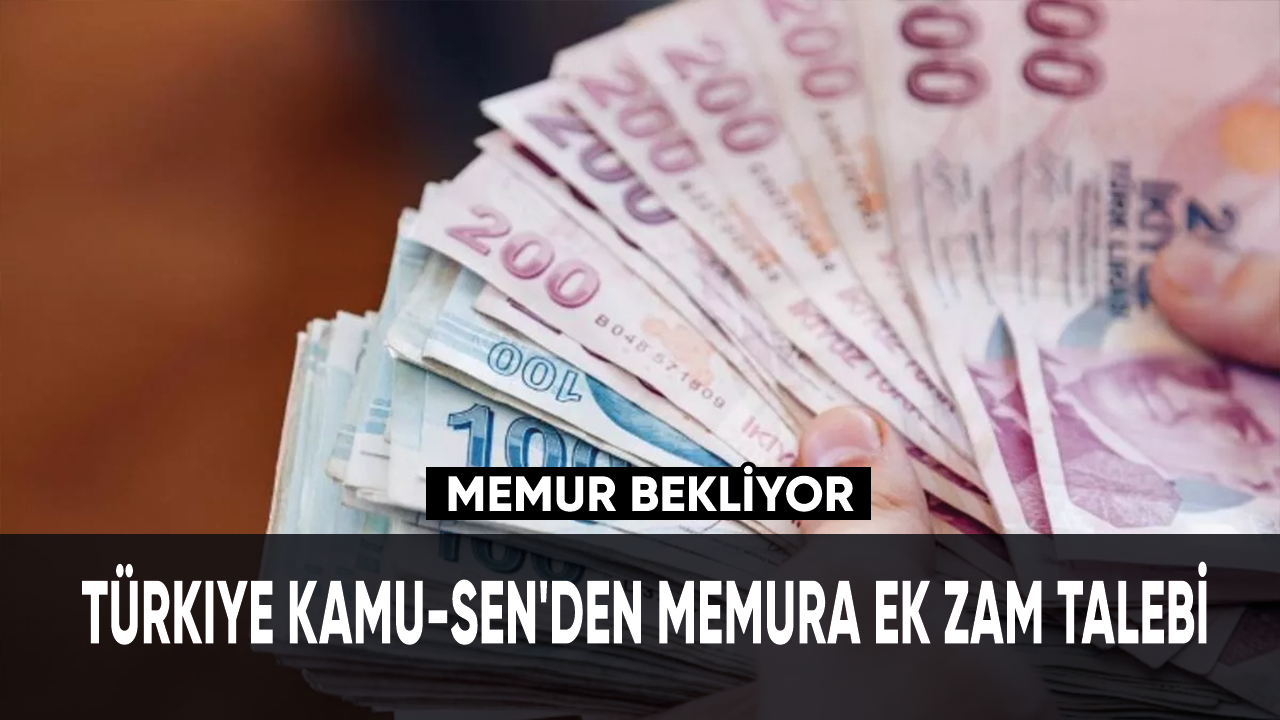 Türkiye Kamu-Sen'den memura ek zam talebi