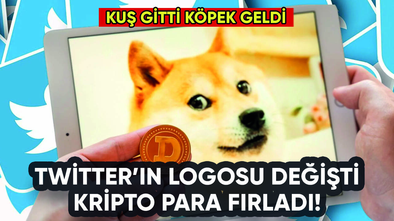 Twitter'da logo değişti: Dogecoin değeri fırladı