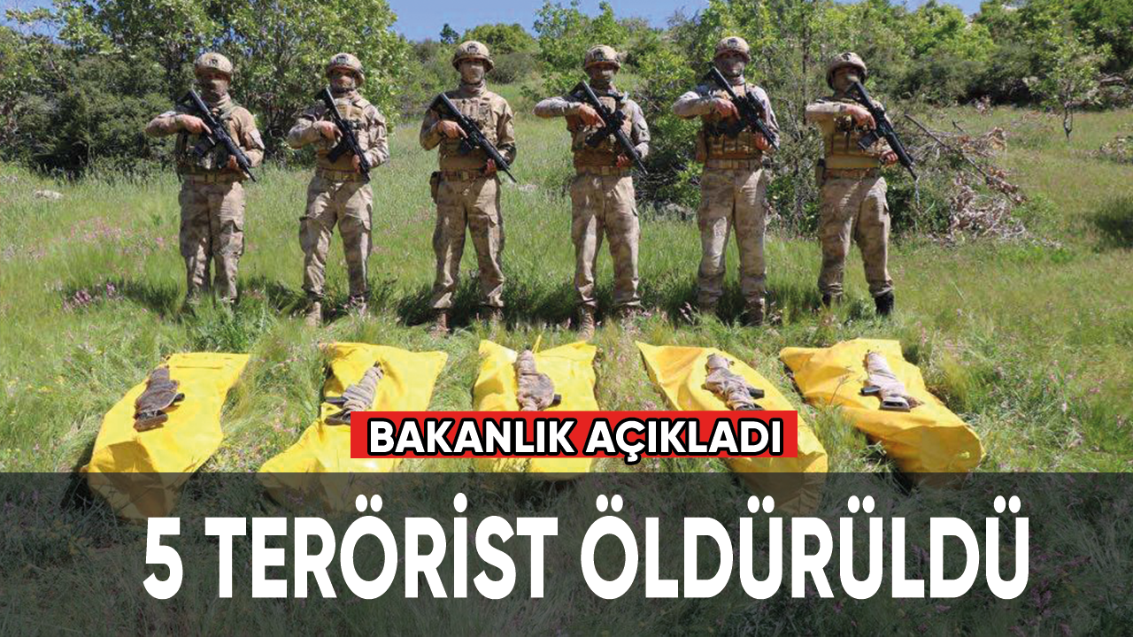 Bakanlık açıkladı: 5 terörist öldürüldü