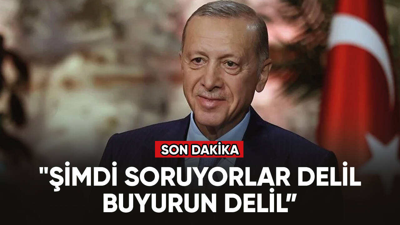 Cumhurbaşkanı Erdoğan: "Suçüstü yakalandılar"