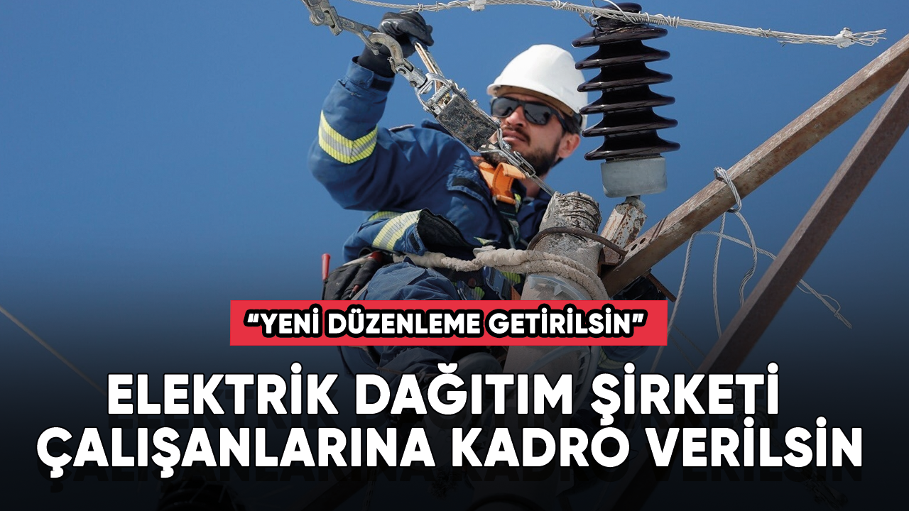 Elektrik dağıtım şirketi çalışanlarına kadro verilsin