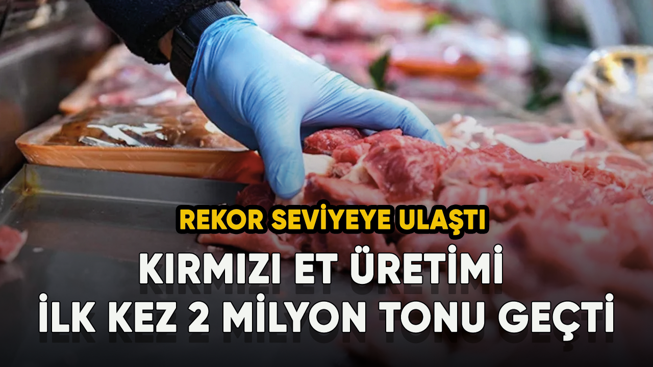 Kırmızı et üretimi 2022'de yıllık yüzde 12,3 artışla ilk kez 2 milyon tonu geçti