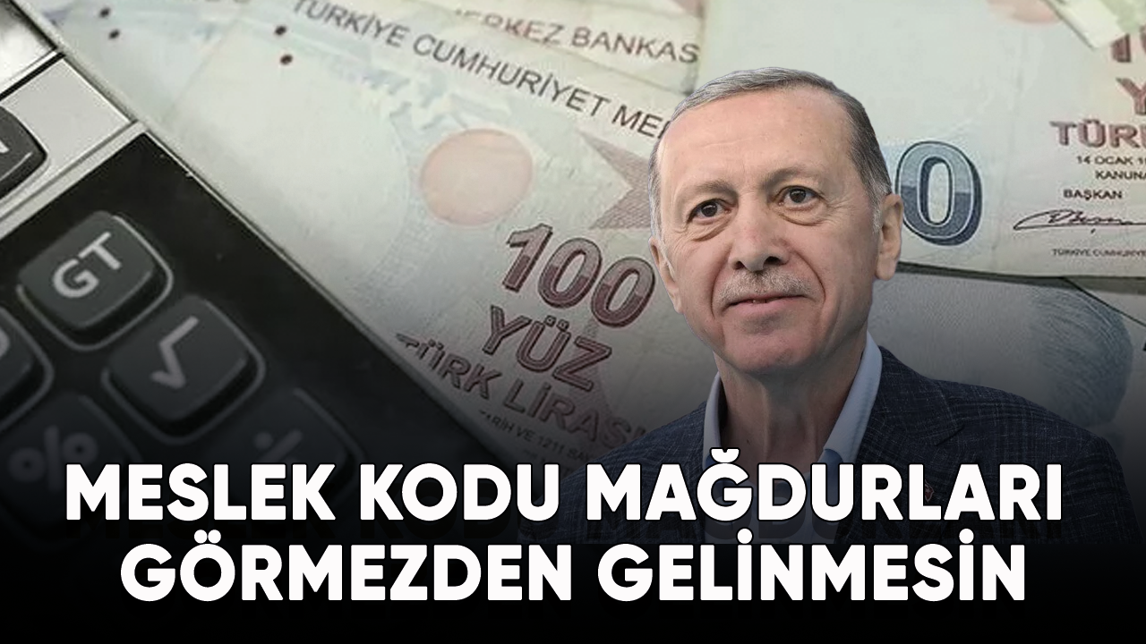 Meslek kodu mağdurları görmezden gelinmesin